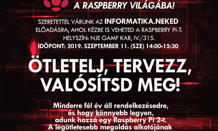 raspberry_grafika_a3_2019_preview