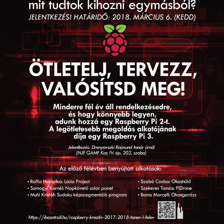raspberry_grafika_2018_web