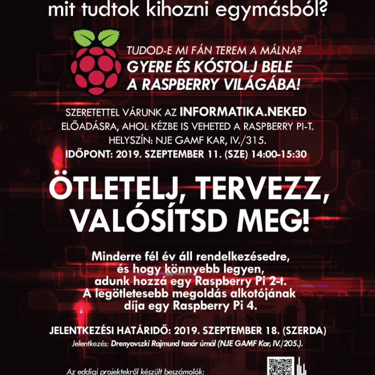 raspberry_grafika_a3_2019_preview